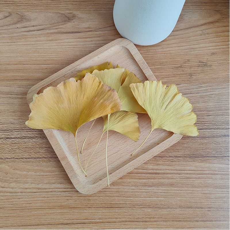 천연 은행잎 건조 잎 DIY 비누 양초 만들기 웨딩 홈 - Soap Making In Home 리뷰 및 가격